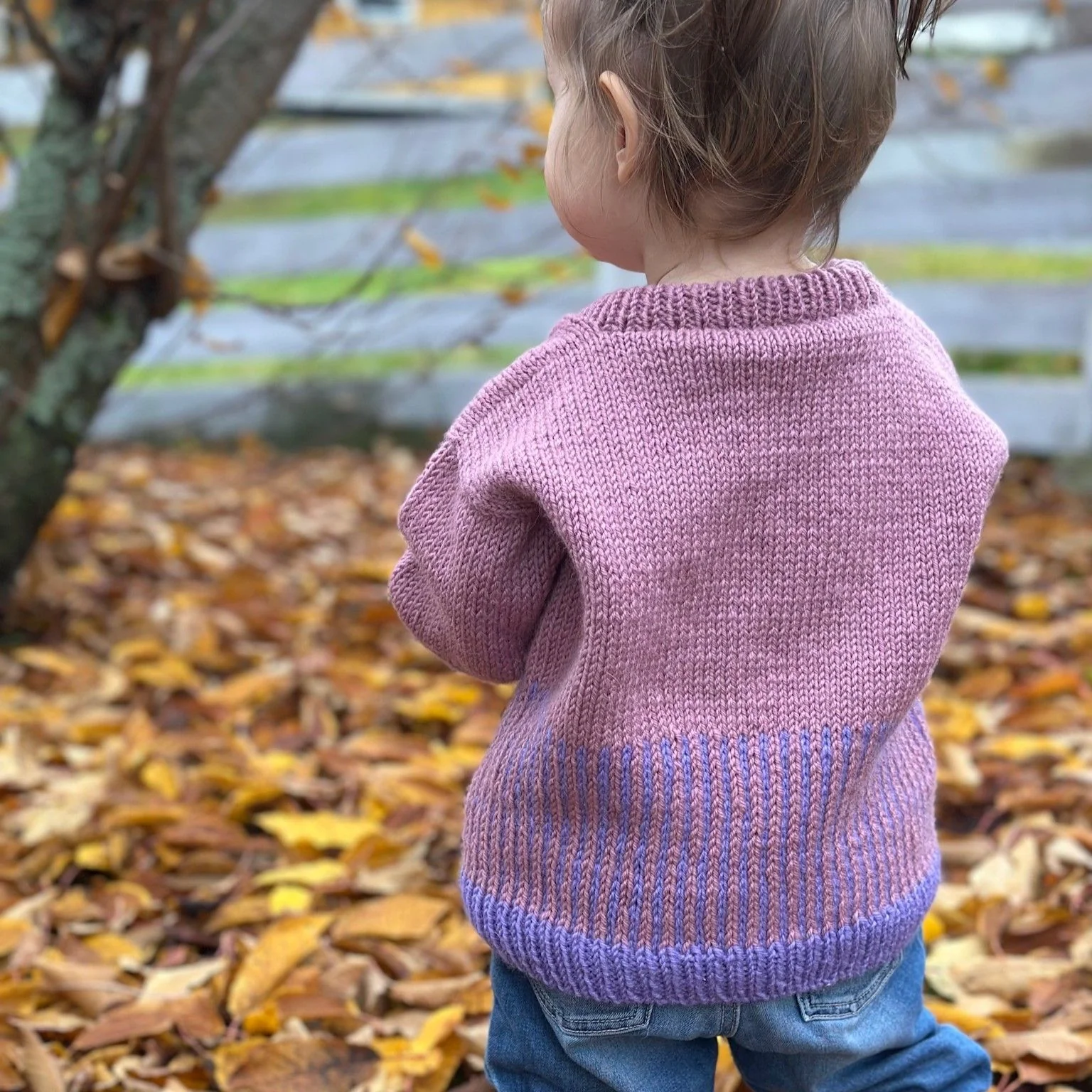 Easy Colour Mix Sweater Junior - Image 3